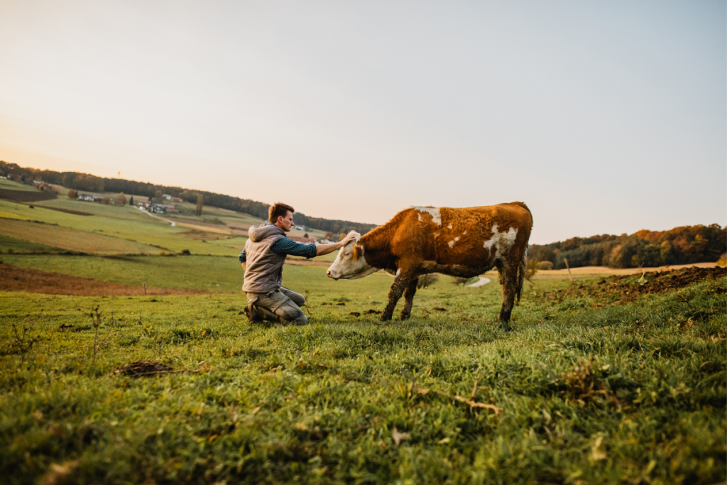 perspectives pour la santé animale 2025