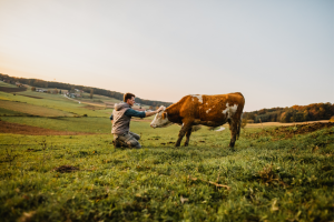 Global animal health 2025_farmer face to face with his cattle