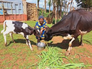 Female livestock farmers- Female livestock with cattle