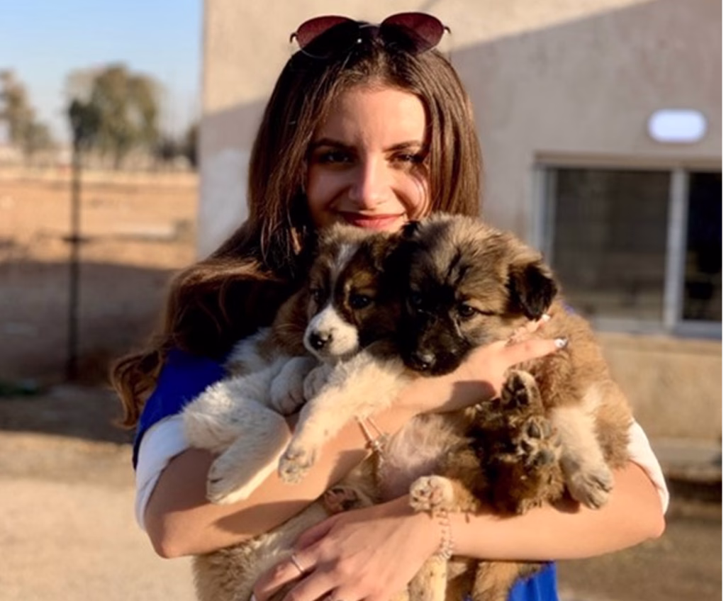 Veterinarian life_Field veterinarian holding cute puppies while facing the camera_animal health
