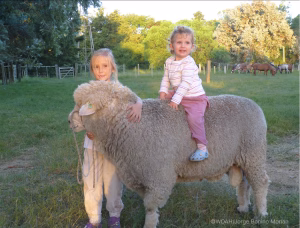 inspiring young female veterinarians_two female kids from the AMericas playing with a Llama