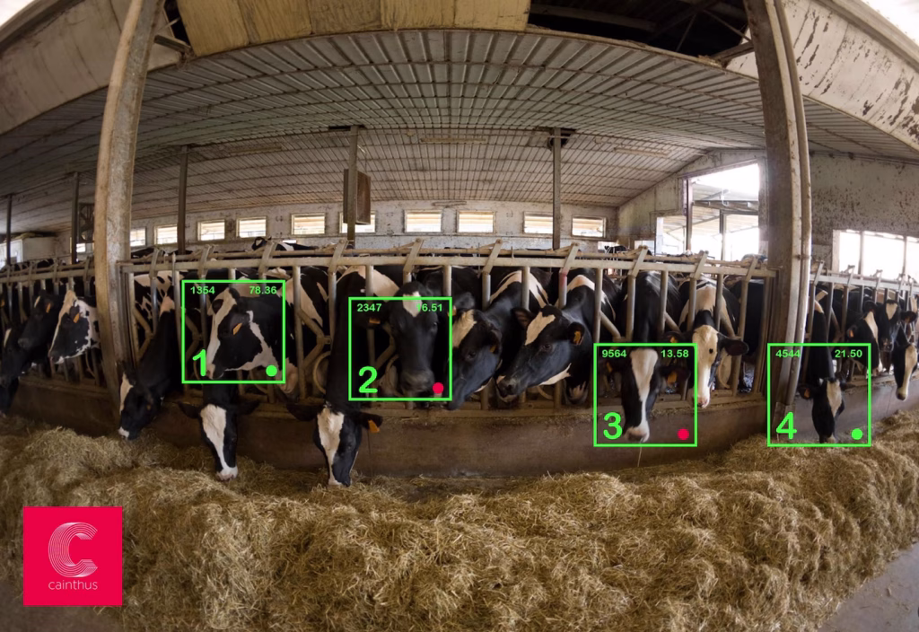 Artificial Intelligence in animal care_use of artificial intelligence in cattle in farms