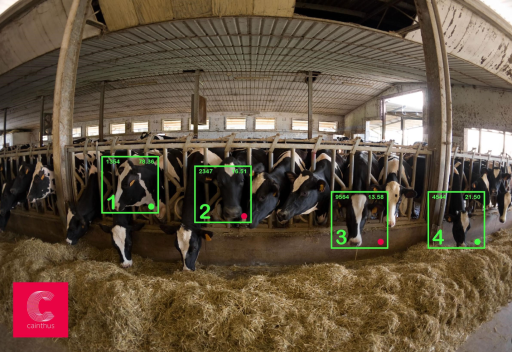 Artificial Intelligence in animal care_use of artificial intelligence in cattle in farms