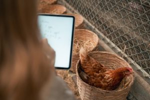 animal health data HPAI