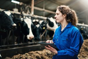 data protection_animals_data scientist in a farm with cattle