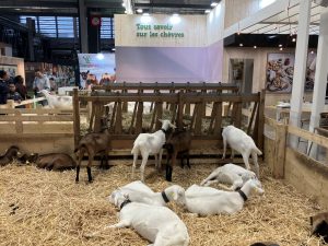 Animal welfare_Paris International Agricultural Fair 2026